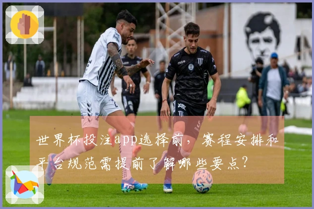 世界杯投注app选择前，赛程安排和平台规范需提前了解哪些要点？